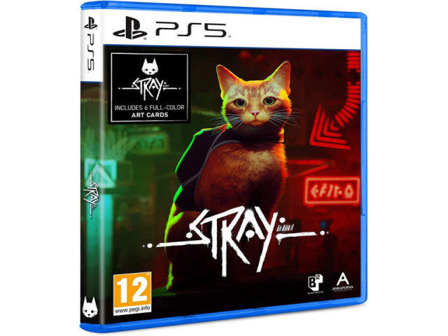 PS5 浪貓 Stray